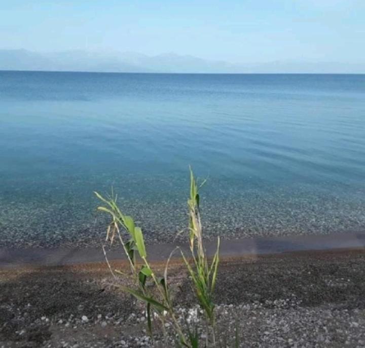 Golden Sea Villa Kalamáta Buitenkant foto